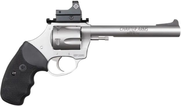 Picture of CHA 79965 TARGET MASTIFF 9MM 6 5SHT OR SS