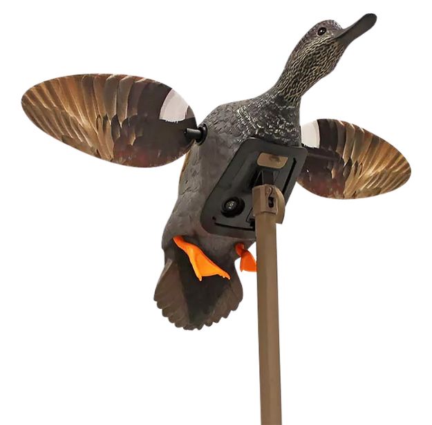 Picture of MOJO HW2473-3P ES GADWALL