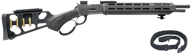 Picture of CHIA 920.439 1860 LA WILDLANDS 4570 16 SYN