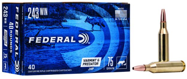 Picture of 243 Winchester 75Gr Jacketed Hollow Point 40/Box