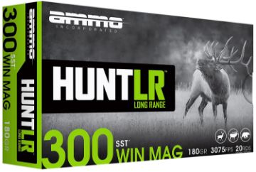Show details for AMMOINC 300WM180SSTA20 HUNT LR 300W 180 SST 20/10 Picture of AMMOINC 300WM180SSTA20 HUNT LR 300W 180 SST 20/10