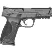 Picture of M&P40 M2.0 40 S&W 4.25” Bbl (2)15Rd Mags Black