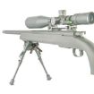 Picture of Bipod Pivot Lock