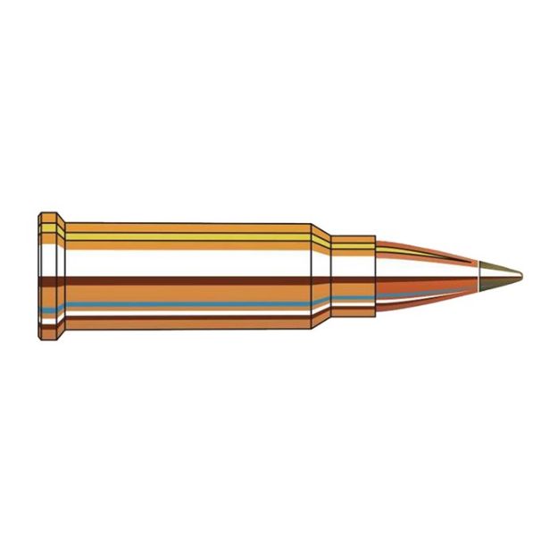 Picture of 17 Mach 2 15.5Gr Ntx 50/Box