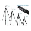 Picture of Large Camera Tripod