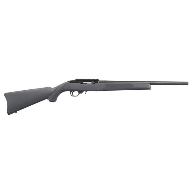 Picture of 10-22 Carbine Charcoal/Blk 22 Lr Rail