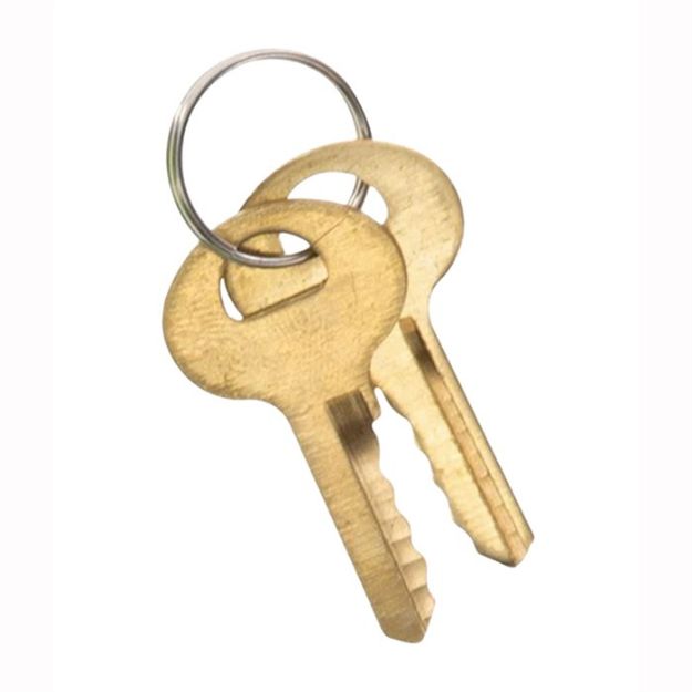 Picture of Keyed Trigger Lock Single