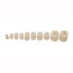 Picture of 20 Caliber Felt Cleaning Pellets 100Ct