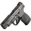 Picture of Pc M&P9 Shield Plus 9Mm 4” Bbl (1)10Rd & (1)13Rd Ns Black