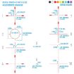 Picture of Wraith 4K Max 3-24X50mm 1280X720 Digital Rifle Scope W/Ir
