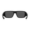 Picture of Rift Sunglasses Black Frame/Gray Lens Non-Polarized