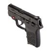Picture of Bodyguard Red Laser 2.75In 380 Auto Black Polymer Adj 6+1