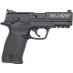 Picture of M&P22 Compact 22 Lr 3.6” Bbl (2)10Rd Mags Black