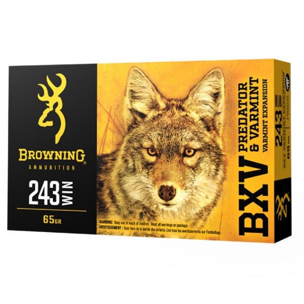 Picture of 243 Winchester 65Gr Bxv Polymer Tipped 20/Box