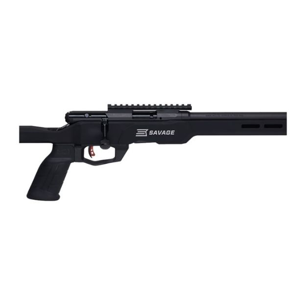 Picture of Savage B17 Precision 17 Hmr 18  Bbl 10Rd