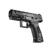 Picture of Apx-A1 Fs 9Mm Luger 4.25''Bbl (2)17Rd Mag Tritium Sight Black