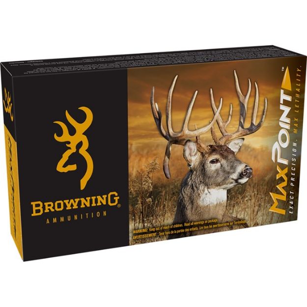 Picture of 243 Winchester 95Gr Polymer Tip 20/Box
