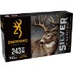 Picture of 243 Winchester 100Gr Plated Soft Point 20/Box
