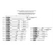 Picture of Adjustable Gas Piston System Arsenal Rifle Small Bore