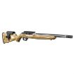 Picture of 10/22 Competition 22 Long Rifle 16.12'' Bbl (1)10Rd Nat Brown