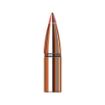 Picture of Sst 6Mm Cal. (0.243'') 95Gr Polymer Tipped Boat Tail 100/Box