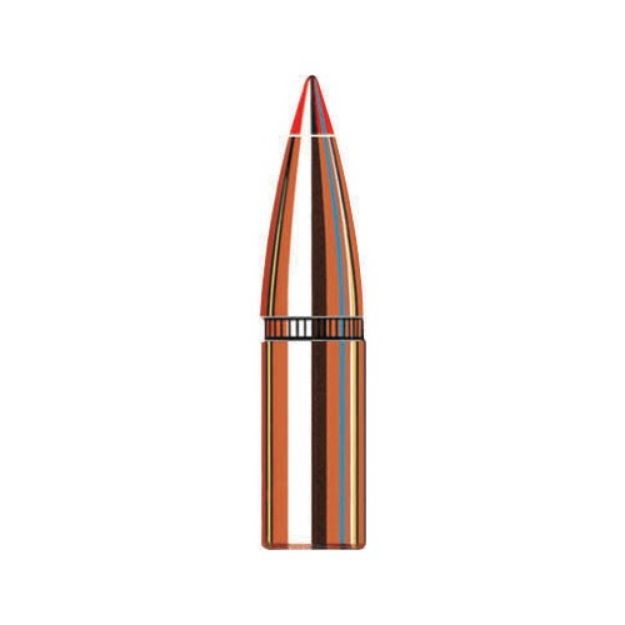 Picture of Sst 6Mm Cal. (0.243'') 95Gr Polymer Tipped Boat Tail 100/Box
