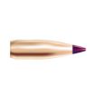 Picture of Btv 20 Caliber (0.204'') Spitzer Bt 40Gr 250/Box