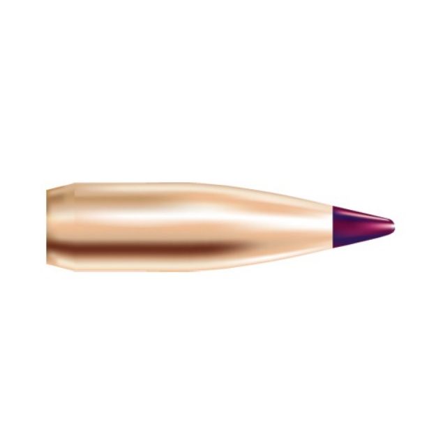 Picture of Btv 20 Caliber (0.204'') Spitzer Bt 40Gr 250/Box