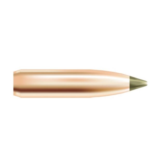 Picture of Expansion Tip Lf 30 Cal (0.308'') Spitzer Bt 180Gr 50/Box