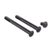 Picture of Henry Golden Boy Tang Sight Screw Set