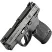 Picture of M&P9 Shield Plus 9Mm Luger 3.1” Bbl (1)10Rd & (1)13Rd Ts Blk