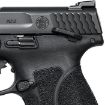 Picture of M&P45 M2.0 45 Acp 4.6” Bbl (2)10Rd Mags Black