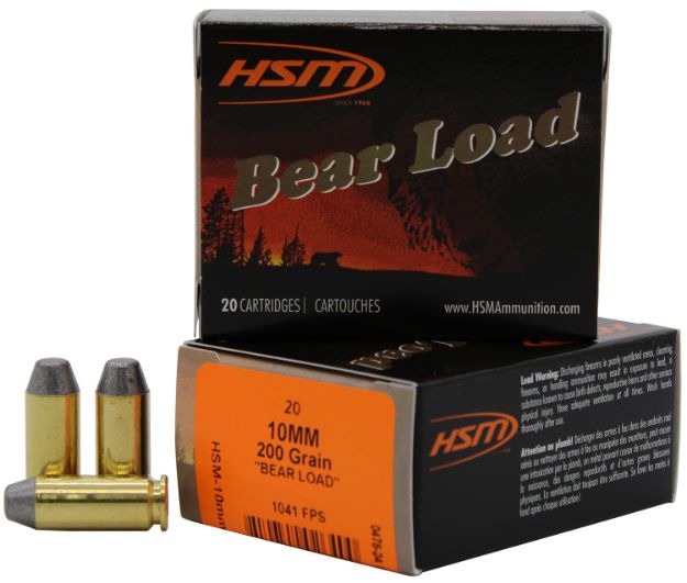 Picture of 10Mm Auto 200Gr Round Nose Flat Point 20/Box