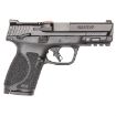 Picture of M&P 9 M2.0 Compact 9Mm 4'' Bbl (2)10Rd Ms Black Ca Compliant