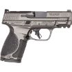 Picture of M&P9 M2.0 Metal Compact 9Mm Luger 3.6''Bbl (2)15Rd Nts Gray