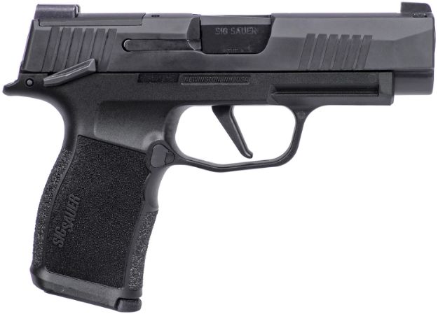 Picture of P365xl 9Mm Luger 3.7'' Bbl (2)12Rd Mag W/Optic Plate Cover Ms