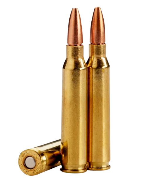 Picture of 223 Remington 62Gr Copper Hollow Point 20/Box