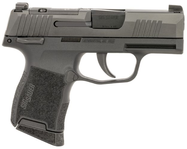 Picture of P365 Striker 9Mm 3.1'' Bbl (2)10Rd Mags Gray