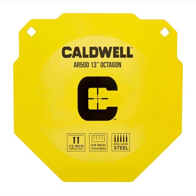 Picture of 13'' Octagon Ar500 Steel Target