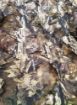 Picture of Titan 3D Leafy Mossy Oak Break Up Country Blind Cover 5'X8'<