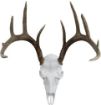 Picture of Mountain Mike's Deer Skull Kit Record Keeper Incl Positioner