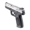 Picture of Sd9ve 9Mm Luger 4'' Bbl (2)16Rd Mags Stainless Two-Tone