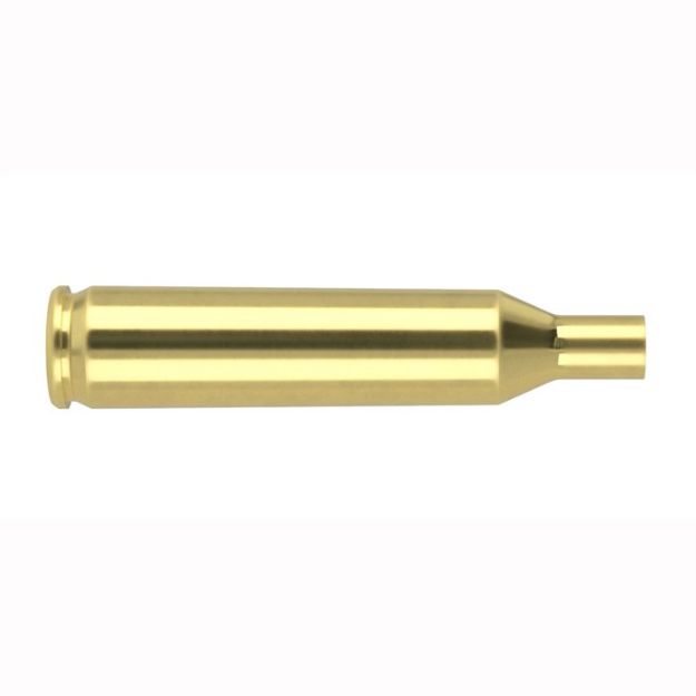 Picture of 17 Remington Brass 100/Box