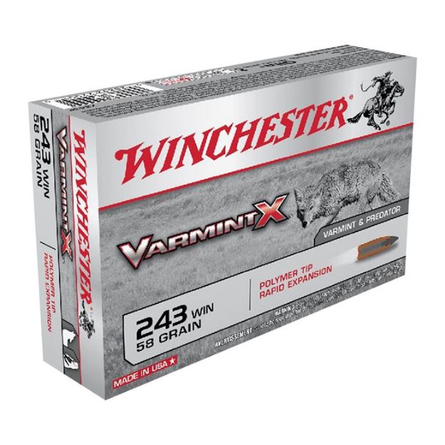 Picture of Varmint X 243 Win 58Gr Polymer Tip Rapid Expansion 20/Box