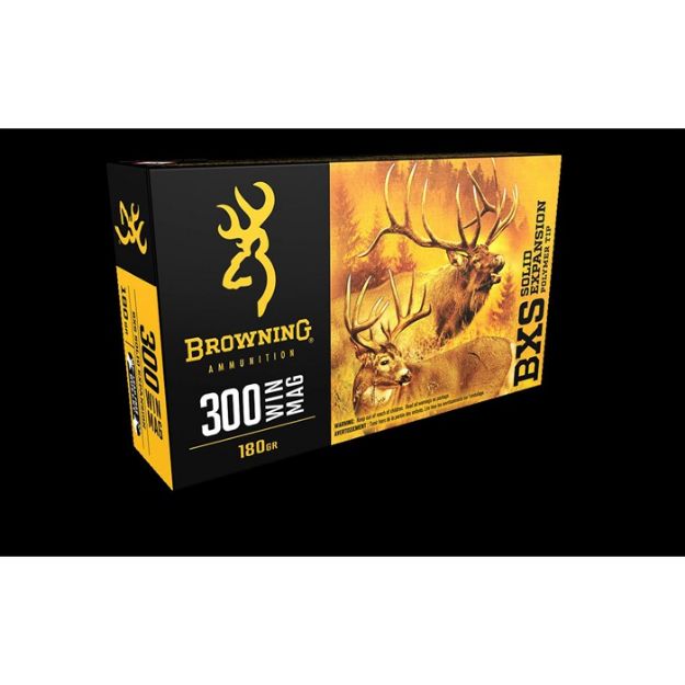 Picture of 300 Win Mag Bxs Polymer Tip Solid Expansion 20/Box