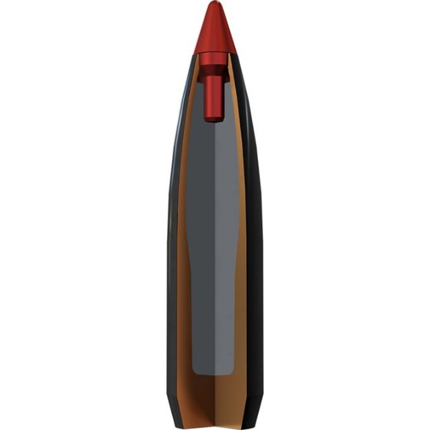 Picture of Expedition Big Game 30-06Springfield 180Gr Accubond Ct20/Box
