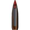 Picture of Expedition Big Game 300 Win Magnum 180 Gr Accubond Ct 20/Box