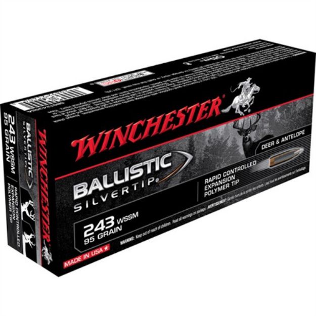 Picture of 243 Wssm 95Gr Rapid Controlled Expansion Polymer Tip 20/Box