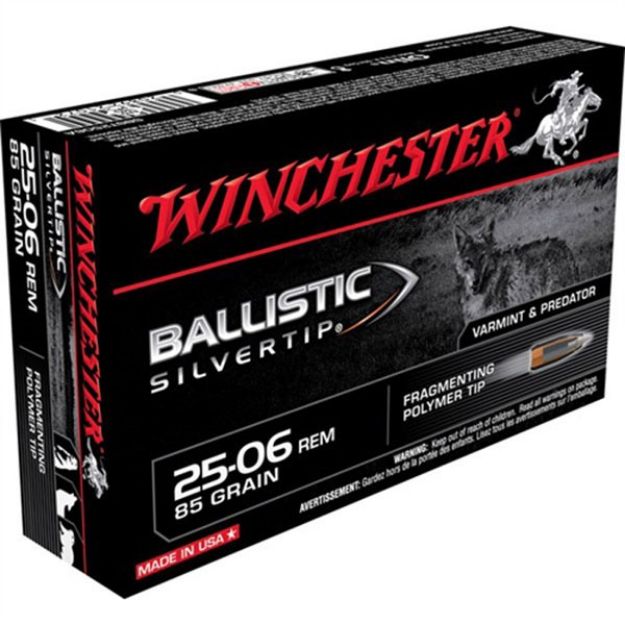 Picture of 25-06 Remington 85Gr Ballistic Silver Tip 20/Box