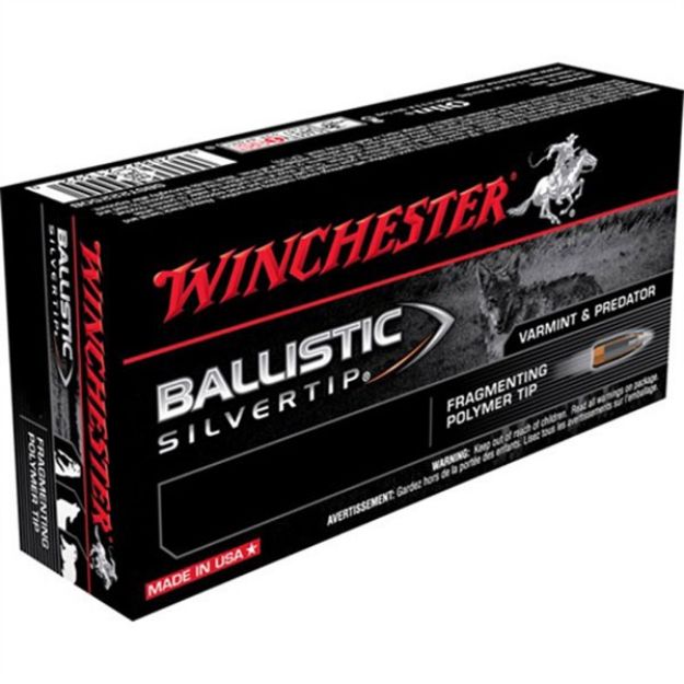 Picture of 30-06 Springfield 168Gr Ballistic Silver Tip 20/Box